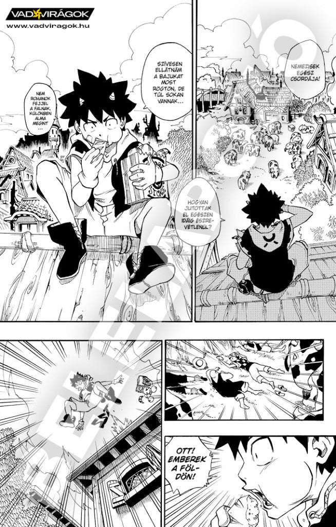 Radiant 1-2 rész - manga