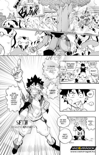 Radiant 1-2 rész - manga