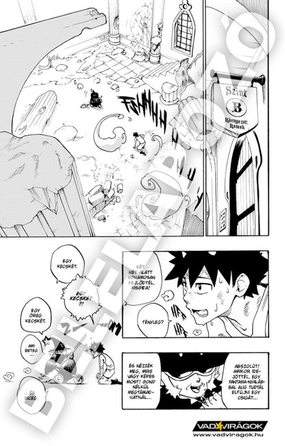 Radiant 1-2 rész - manga