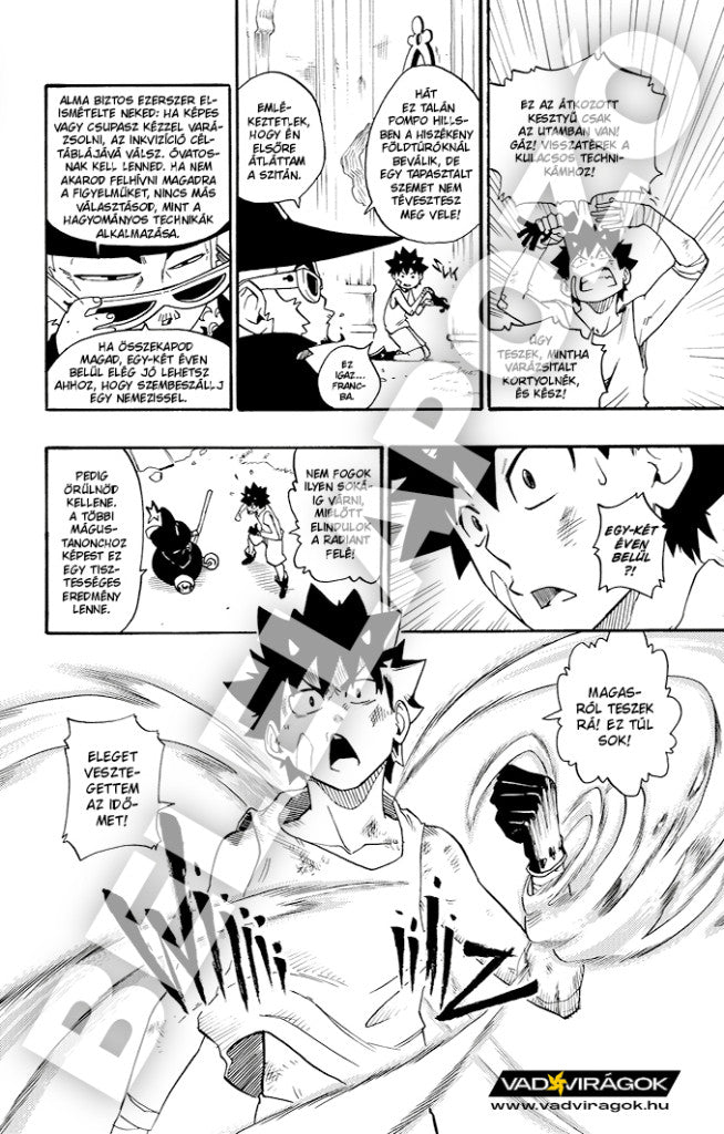 Radiant 1-2 rész - manga